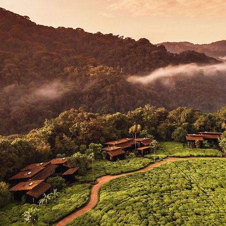Rwumba One&Only Nyungwe House 빌라 외부 사진
