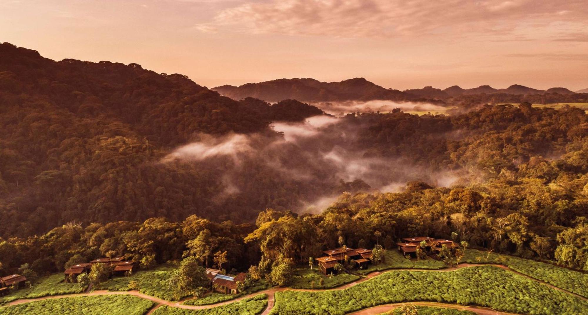 Rwumba One&Only Nyungwe House 빌라 외부 사진
