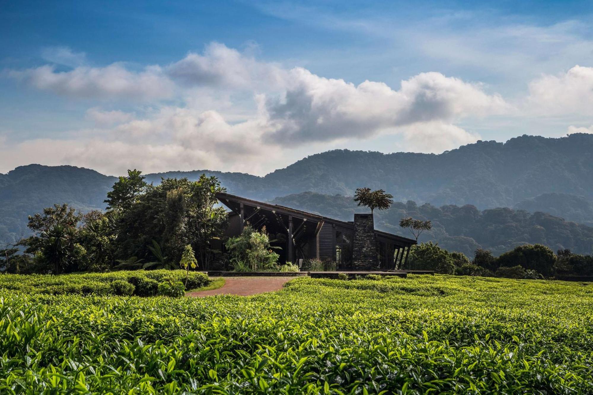 Rwumba One&Only Nyungwe House 빌라 외부 사진